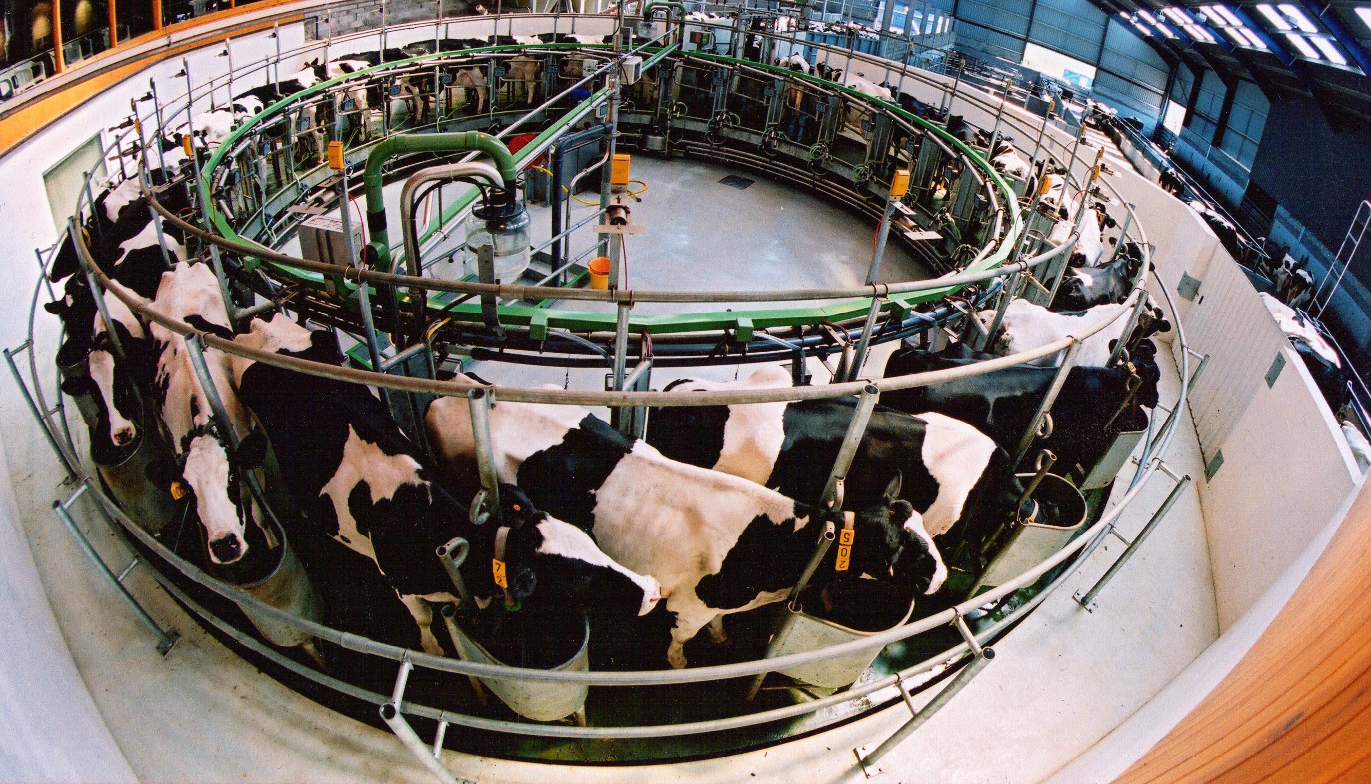 Rotary Parlour